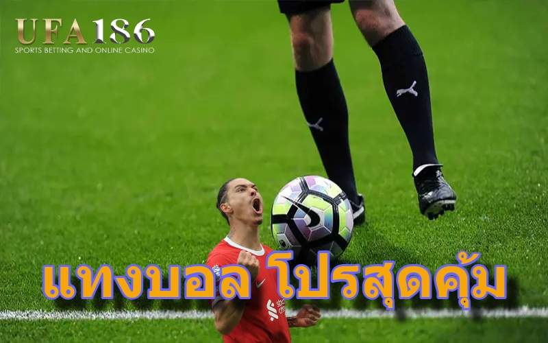 จุดประสงค์ของบทความ