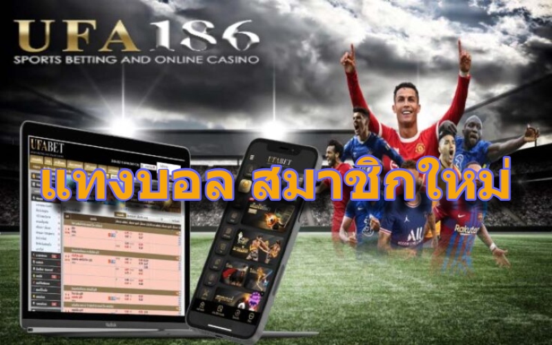 แทงบอล สมาชิกใหม่