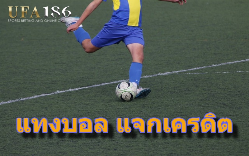 แทงบอล แจกเครดิต