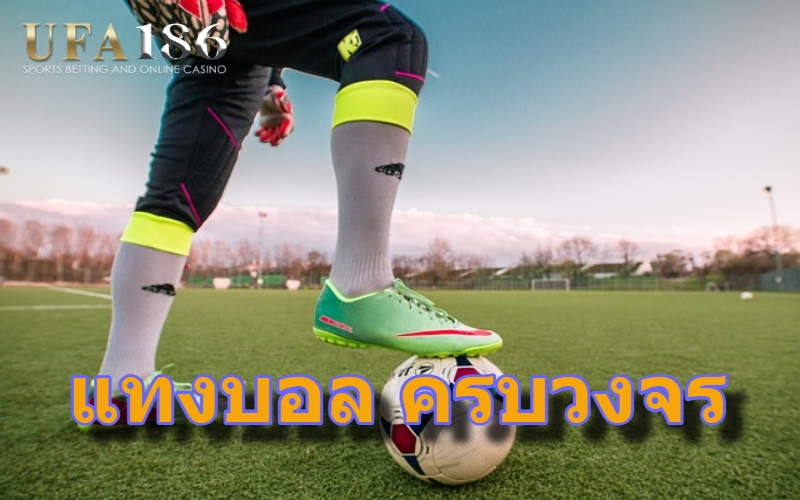 แทงบอล ครบวงจร