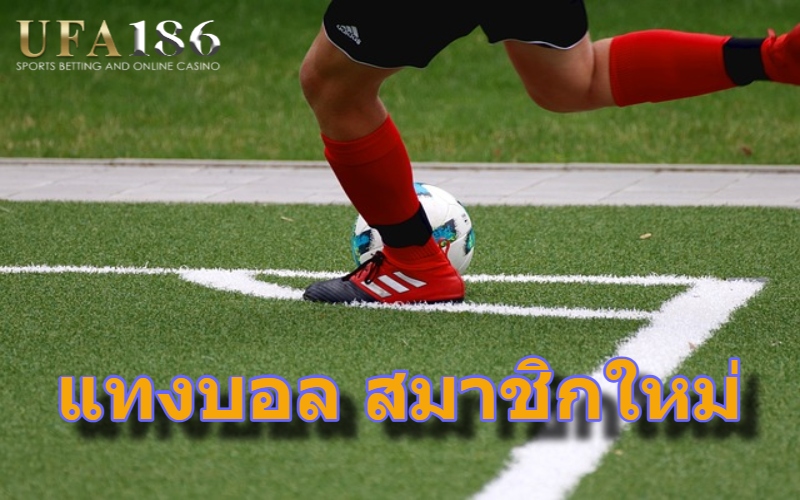 แทงบอล สมาชิกใหม่