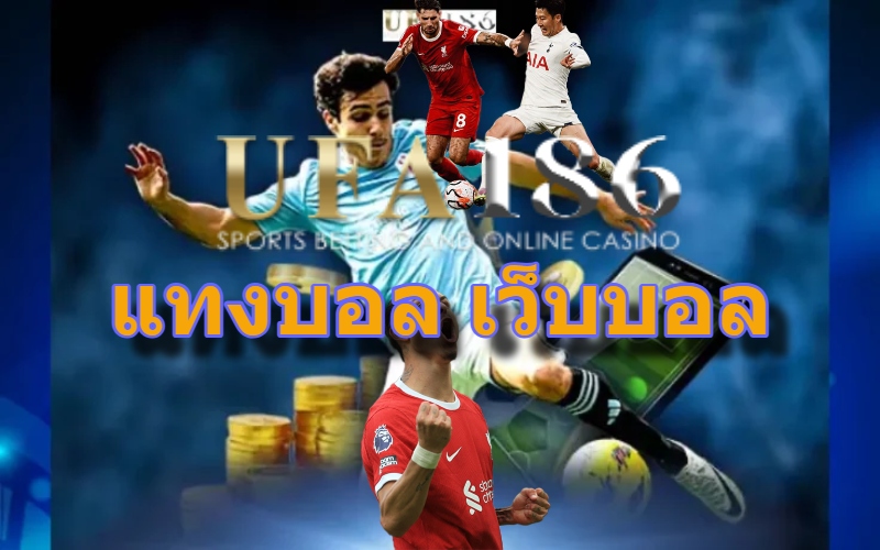 แทงบอล เว็บบอล