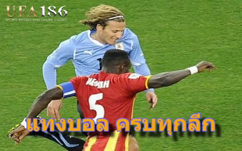 แทงบอล ครบทุกลีก