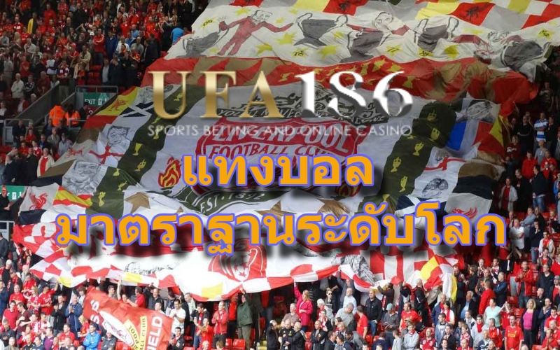 แทงบอล มาตราฐานระดับโลก